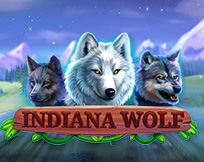 Indiana Wolf